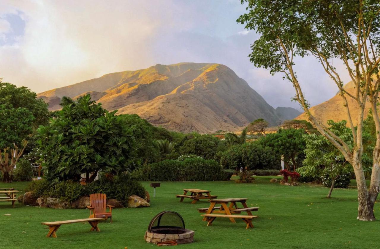 Explore Maui'S Diverse Campgrounds And Uncover The Island'S Beauty From Fresh Perspectives Every Day As You Journey With Aloha Glamp'S Great Jeep Equipped With A Rooftop Tent Paia Εξωτερικό φωτογραφία