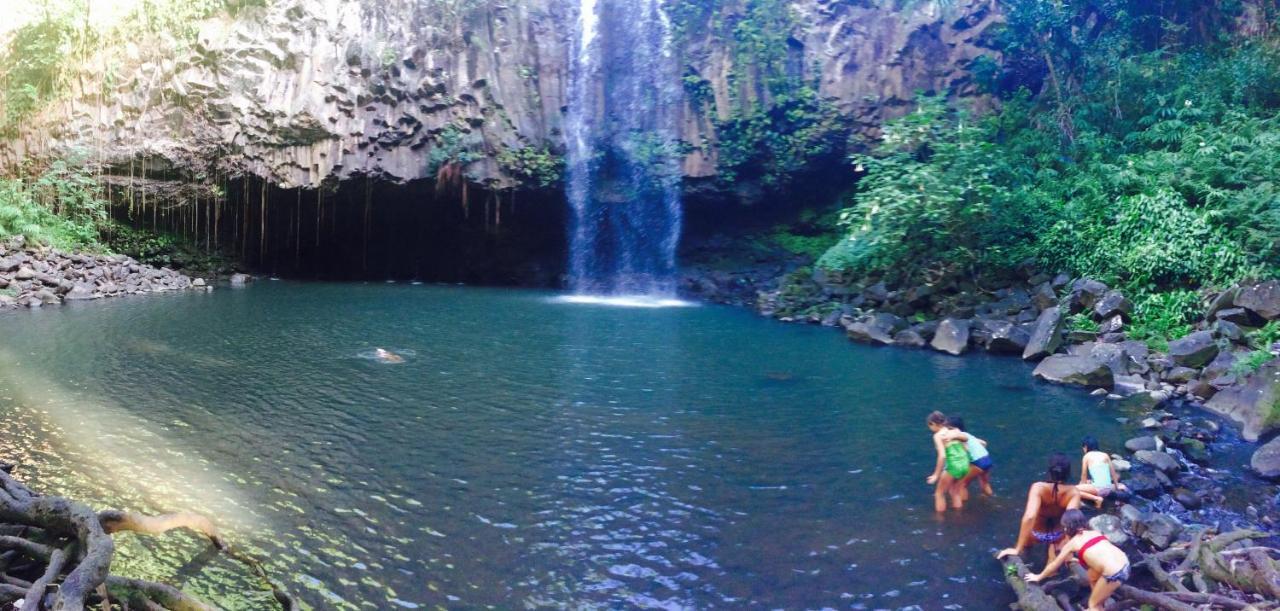 Explore Maui'S Diverse Campgrounds And Uncover The Island'S Beauty From Fresh Perspectives Every Day As You Journey With Aloha Glamp'S Great Jeep Equipped With A Rooftop Tent Paia Εξωτερικό φωτογραφία