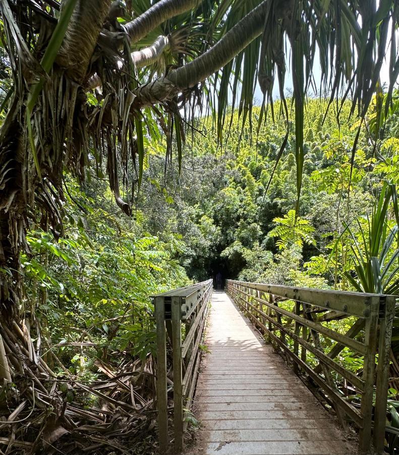 Explore Maui'S Diverse Campgrounds And Uncover The Island'S Beauty From Fresh Perspectives Every Day As You Journey With Aloha Glamp'S Great Jeep Equipped With A Rooftop Tent Paia Εξωτερικό φωτογραφία